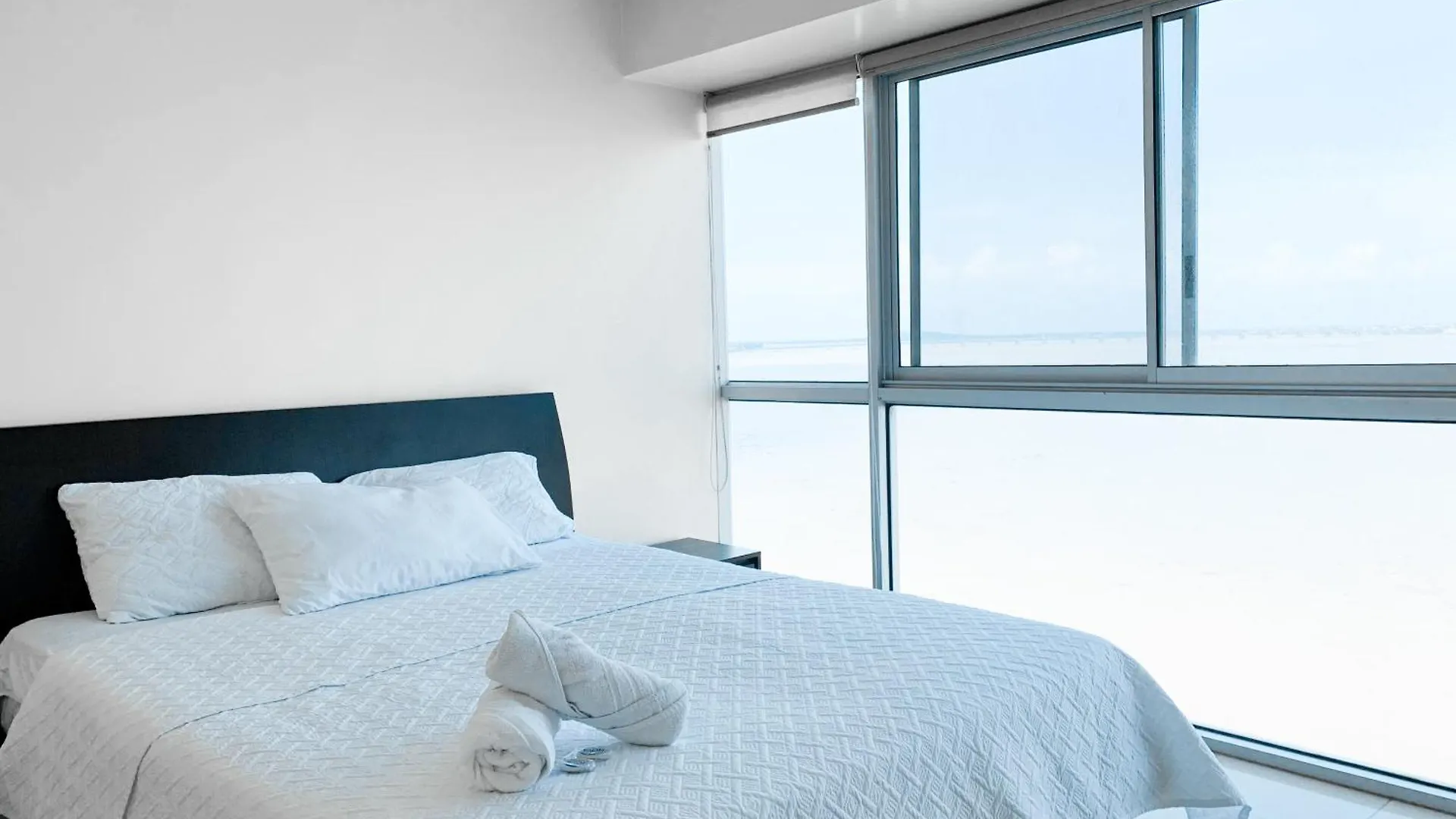 瓜亚基尔Departamento Con Piscina, Jacuzzi Y Gym公寓 厄瓜多尔